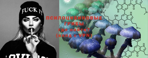 ГАЛЛЮЦИНОГЕННЫЕ ГРИБЫ Алексин