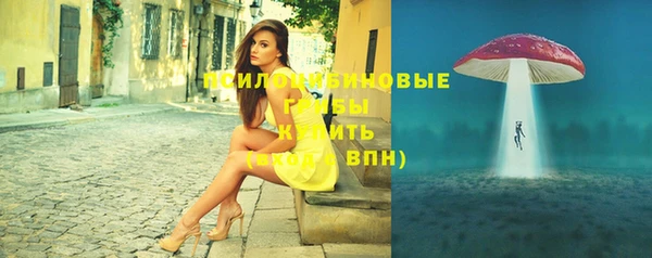 прущие грибы Алексеевка