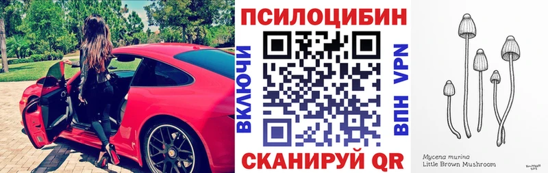 Галлюциногенные грибы MAGIC MUSHROOMS Томск
